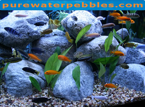 African Cichlid Substrate